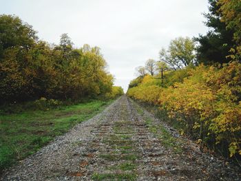 Railroad track amidst trees against sky during autumn