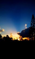 Silhouette of trees at sunset