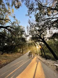 Rear view of family father with two daughters walking on road in the park