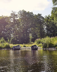 Scenic view of lake against trees in forest