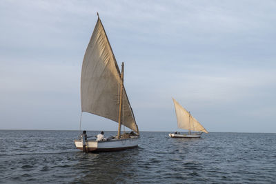 Sailboat sailing on sea against sky