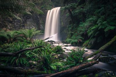 Scenic view of waterfall in forest