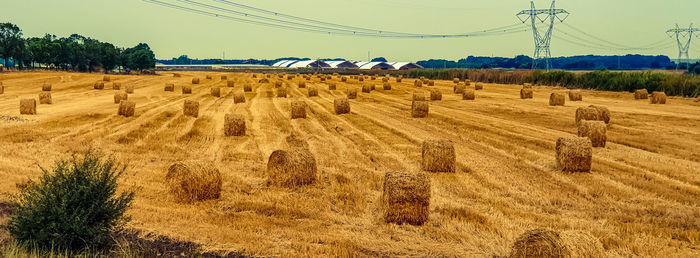 Hay bales on field against sky