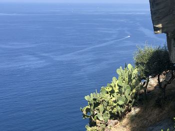 High angle view of sea against blue sky