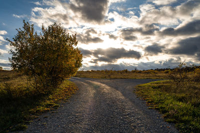 Empty road along trees and plants against sky