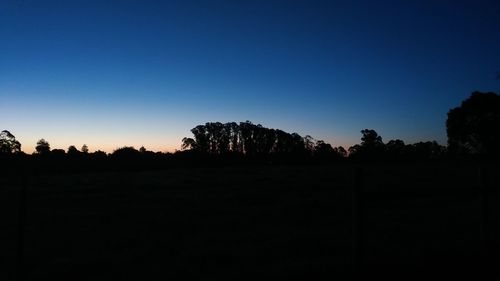 Silhouette trees against sky during sunset