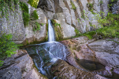 Scenic view of waterfall in forest