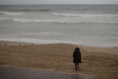 Rear view of woman on beach