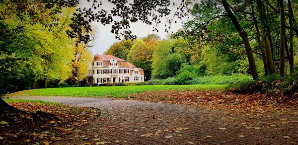 Footpath by trees in park during autumn