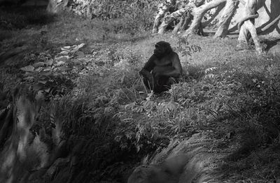 Man sitting on plant