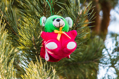 Close-up of christmas decorations on tree