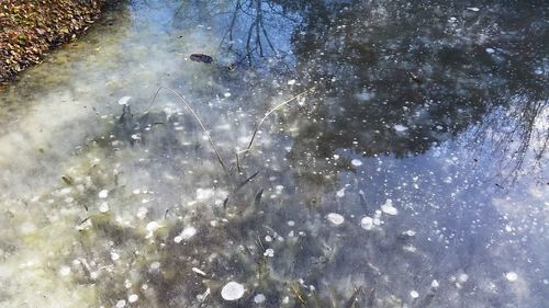 High angle view of snow on puddle