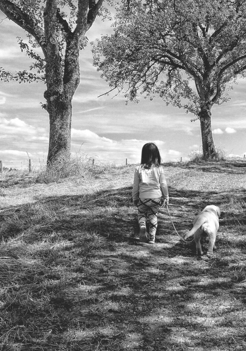 animal themes, full length, one animal, domestic animals, tree, mammal, childhood, rear view, dog, pets, leisure activity, lifestyles, walking, field, sky, elementary age, girls, nature