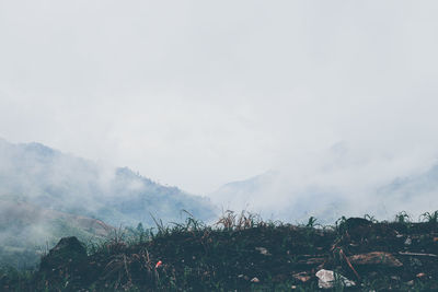 Scenic view of landscape against sky