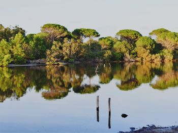 Scenic view of lake by trees against sky