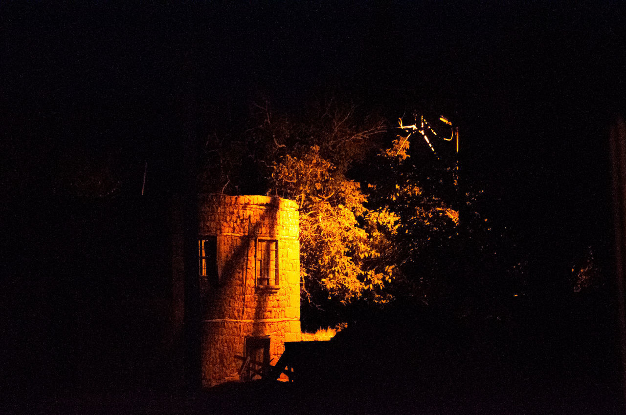 SILHOUETTE PLANTS AGAINST ILLUMINATED BUILDING