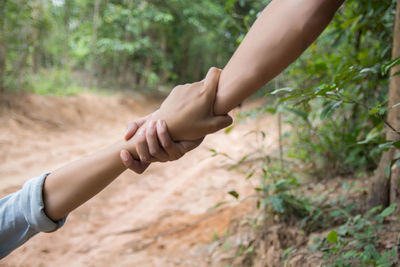 Cropped image of man hand on plant