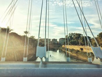 Panoramic view of palm trees against sky