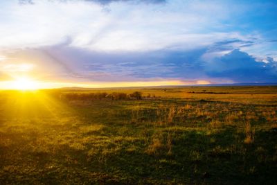 Scenic view of field against sky during sunset