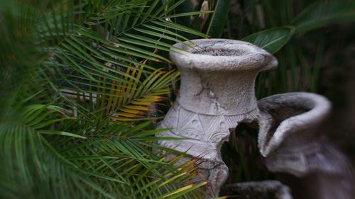 Close-up of angel statue