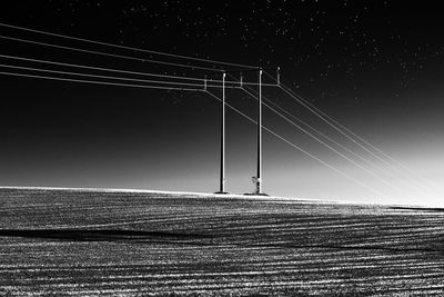 Electricity pylon on a field cultivated with wheat when the flocks migration was underway 