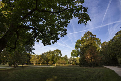 Trees on field against sky