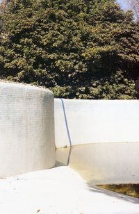 Shadow of trees on wall