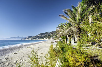 Scenic view of beach against clear blue sky