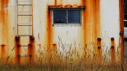 Closed door of old building