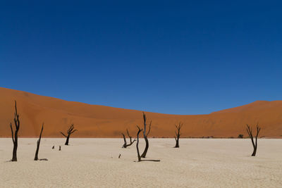 Scenic view of desert against clear blue sky