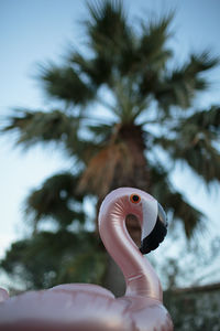 Close-up of toy on tree against sky