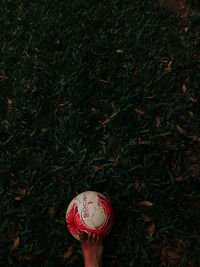 High angle view of woman holding umbrella on field