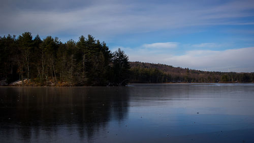 Scenic view of lake in forest against sky