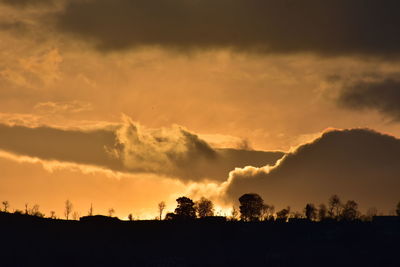 Low angle view of silhouette trees against dramatic sky