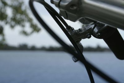 Close-up of cropped object