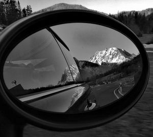 Reflection of trees on side-view mirror