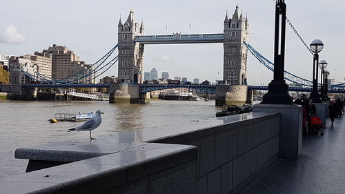 View of suspension bridge in city