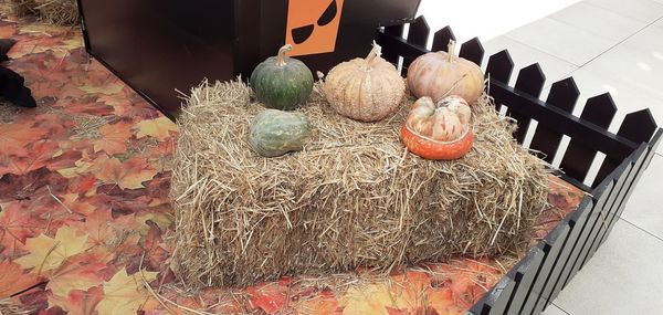 High angle view of vegetables for sale