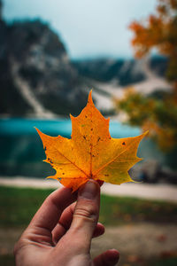 Cropped hand holding autumn leaf