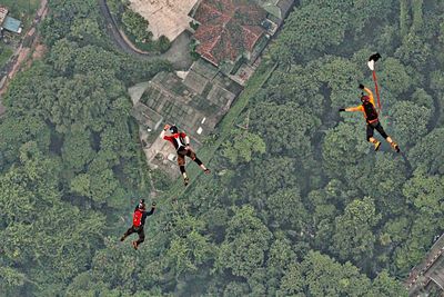 Aerial view of skydivers over trees