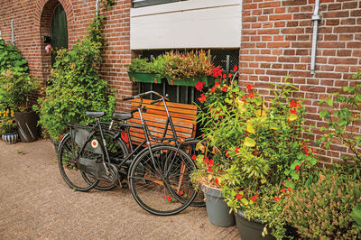 Potted plants in front of building