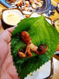 Close-up of hand holding leaves