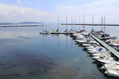 Sailboats moored in harbor