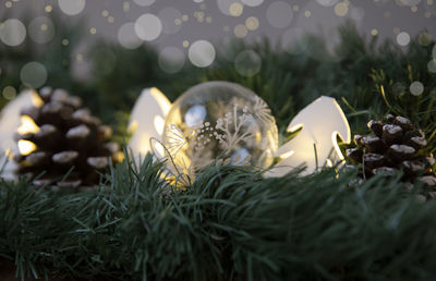 Close-up of christmas lights on grass