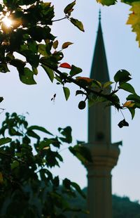 Low angle view of tree against sky