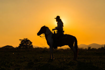 Silhouette man riding horse on field during sunset