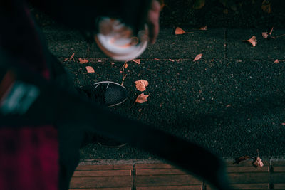 Low section of man with autumn leaves on land