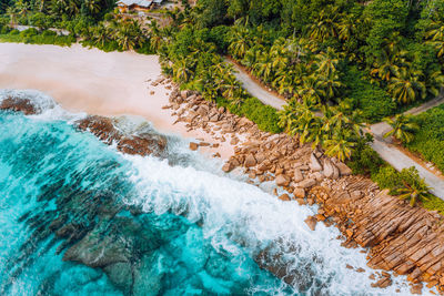 High angle view of sea by trees