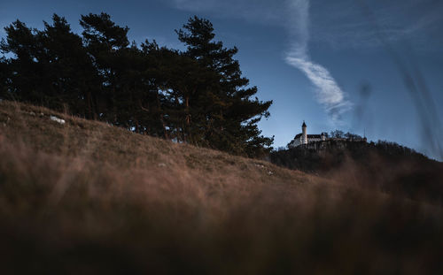 Low angle view of trees on land against sky