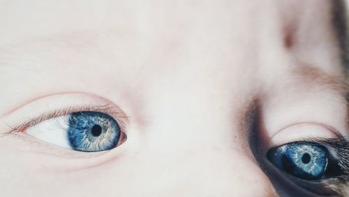 Cropped image of kid with blue eyes